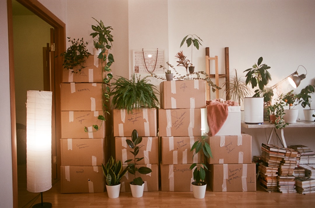 Stacked moving boxes in an empty living room of an Austin area home